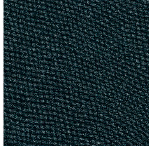 Nachtblauw iriserend stringbroekje - BOTTOM SHARK FIO